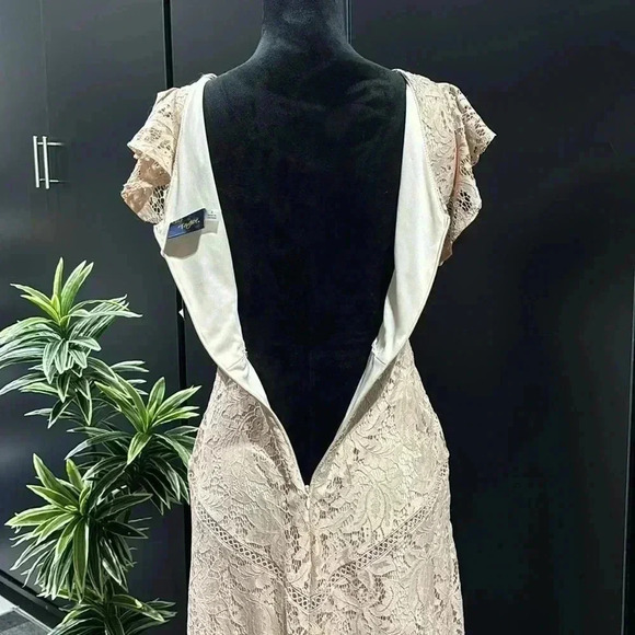 Just Taylor V-neck flutter sleeve lace,Hi/low ruffle,zip back, lined,zipper back - Picture 6 of 16